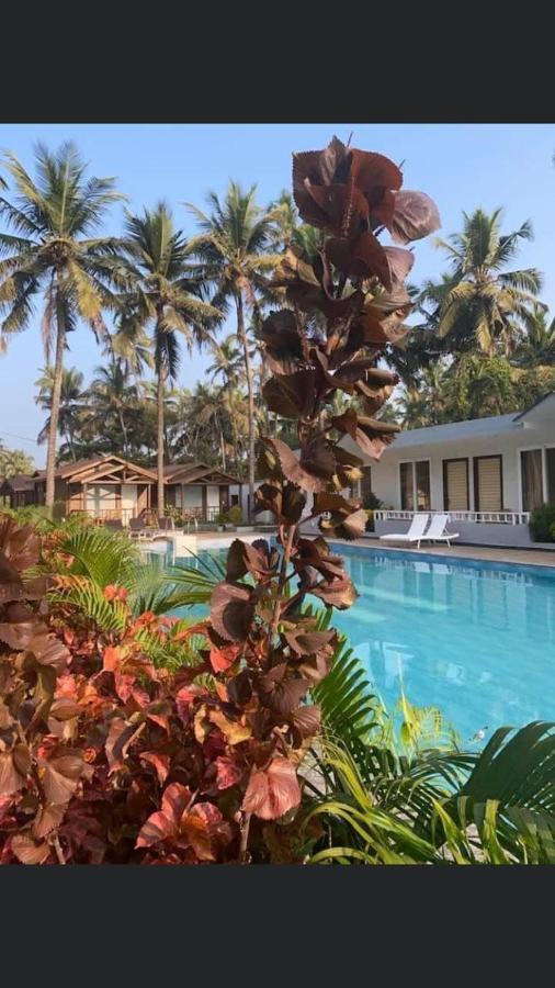 Golden Sands Resort, Morjim Kültér fotó